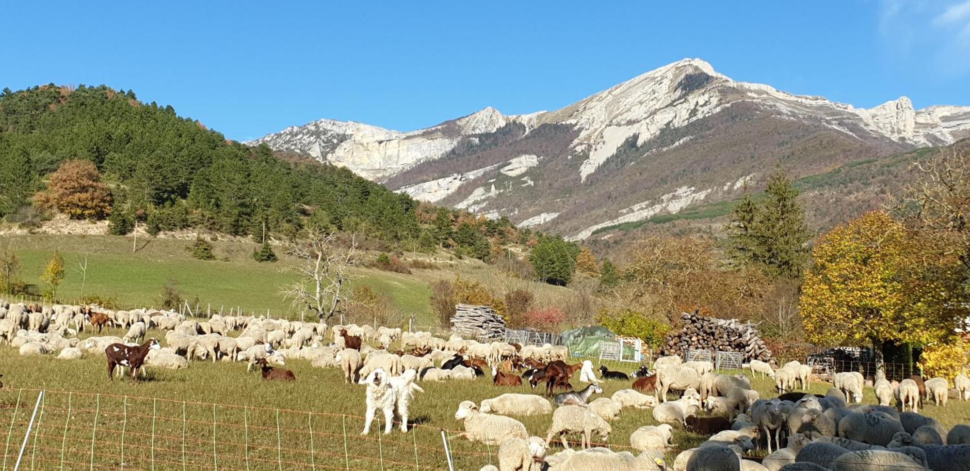 Maison De Village Aux Portes Du Vercors Chamaloc Luaran gambar